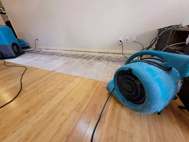 Professional Burst Pipe Water Damage technician working in Harrietta, MI
